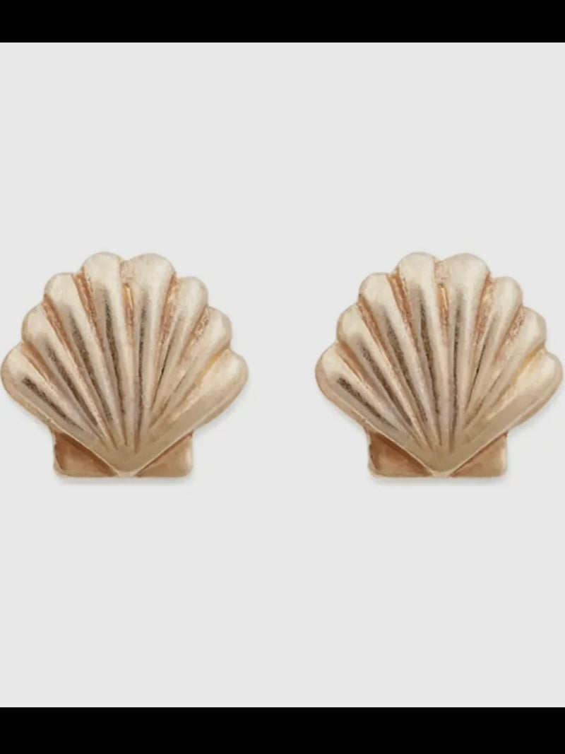 Keeli  Seashell Stud Earrings