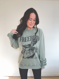 Freebird Pullover